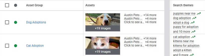 Austin Pets Alive Performance Max asset groups segmented into Dog Adoptions and Cat Adoption