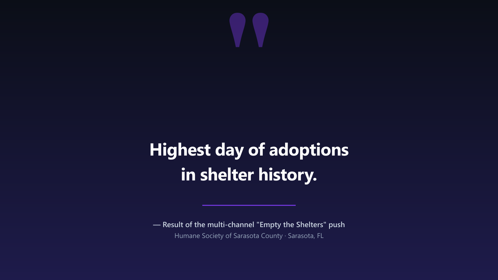 Headline quote: highest day of adoptions in shelter history