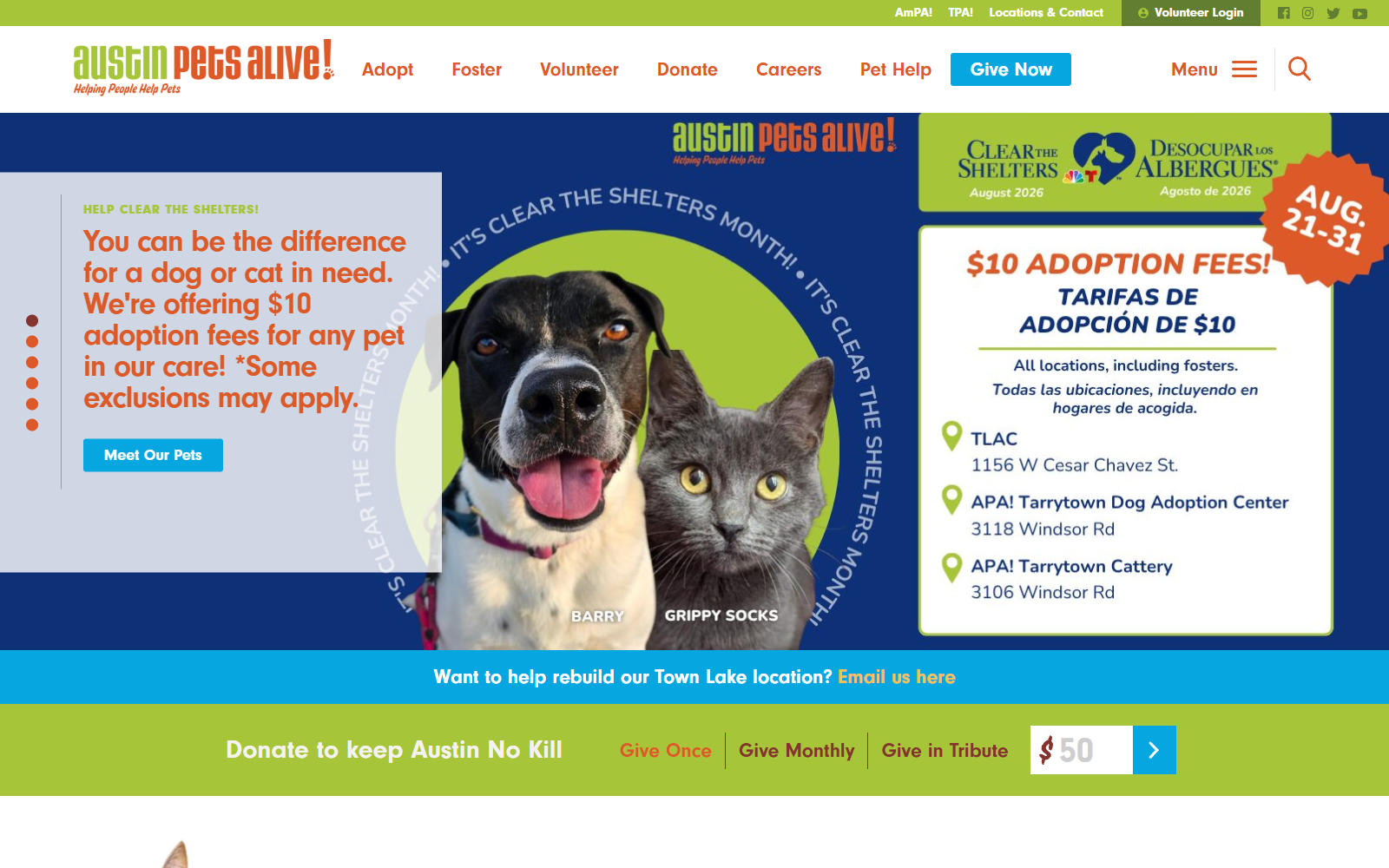 Austin Pets Alive! case study